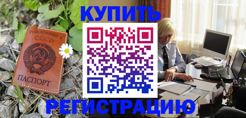 временная регистрация поиск в Палласовке
