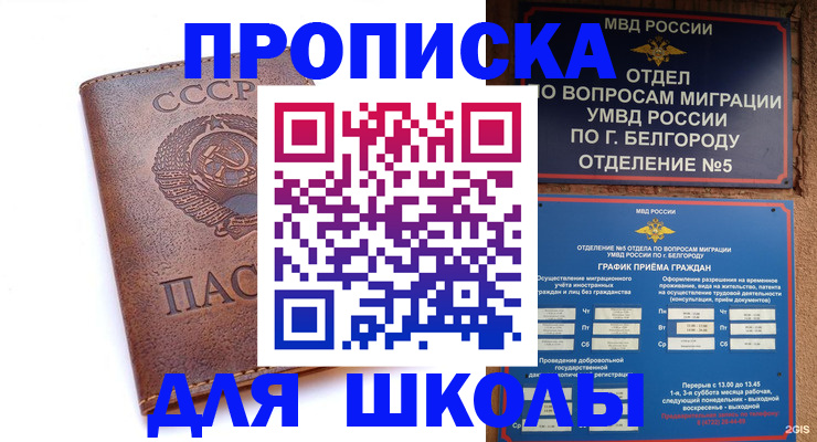 прописка для кредита в Палласовке